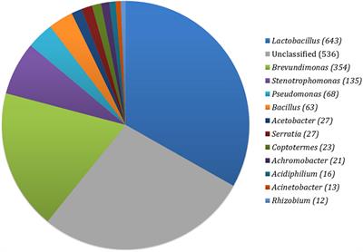 Antiobesity, Antihyperglycemic, and Antidepressive Potentiality of Rice Fermented Food Through Modulation of Intestinal Microbiota